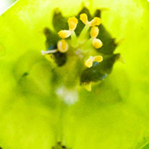 ddos在线压力测试平台